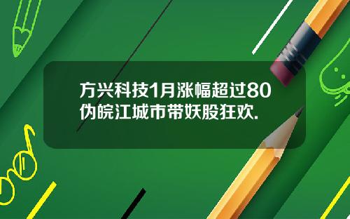 方兴科技1月涨幅超过80伪皖江城市带妖股狂欢.