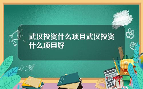 武汉投资什么项目武汉投资什么项目好