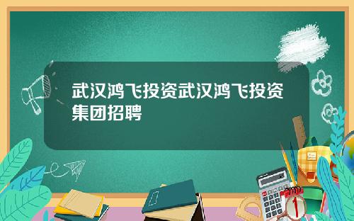 武汉鸿飞投资武汉鸿飞投资集团招聘