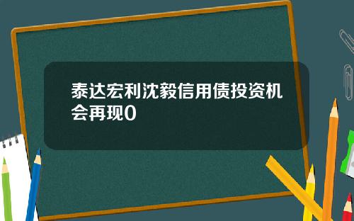 泰达宏利沈毅信用债投资机会再现0