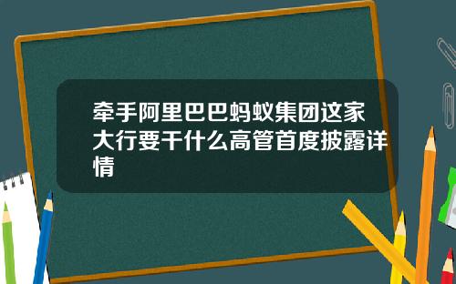 牵手阿里巴巴蚂蚁集团这家大行要干什么高管首度披露详情