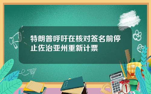 特朗普呼吁在核对签名前停止佐治亚州重新计票