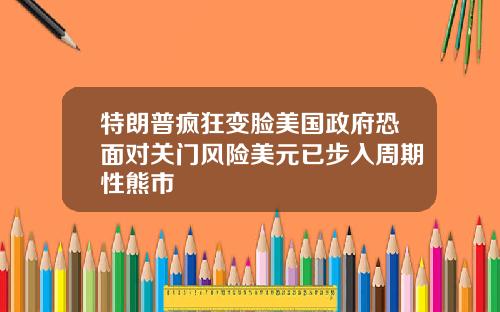 特朗普疯狂变脸美国政府恐面对关门风险美元已步入周期性熊市