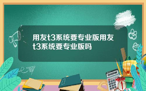 用友t3系统要专业版用友t3系统要专业版吗