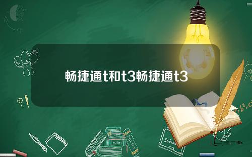 畅捷通t和t3畅捷通t3