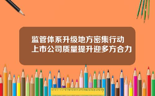 监管体系升级地方密集行动上市公司质量提升迎多方合力