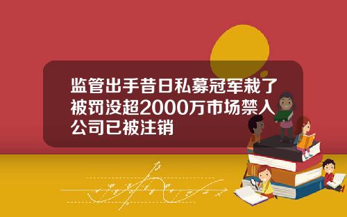 监管出手昔日私募冠军栽了被罚没超2000万市场禁入公司已被注销