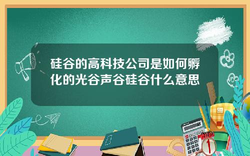 硅谷的高科技公司是如何孵化的光谷声谷硅谷什么意思