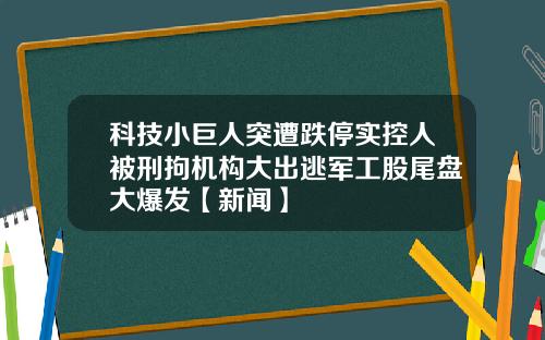 科技小巨人突遭跌停实控人被刑拘机构大出逃军工股尾盘大爆发【新闻】