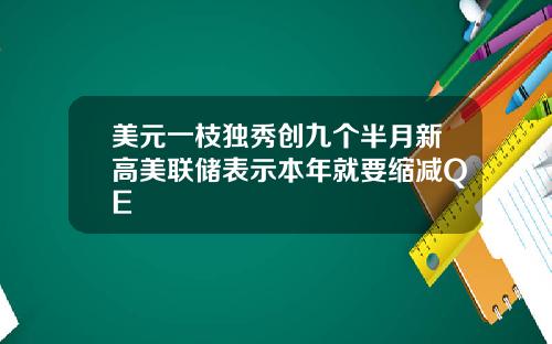 美元一枝独秀创九个半月新高美联储表示本年就要缩减QE