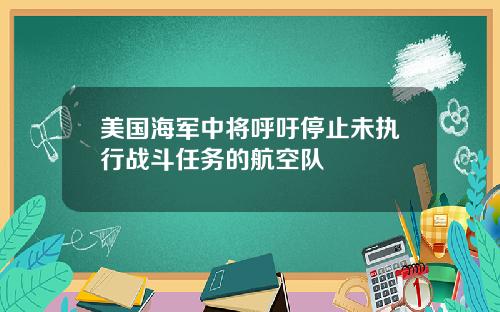 美国海军中将呼吁停止未执行战斗任务的航空队