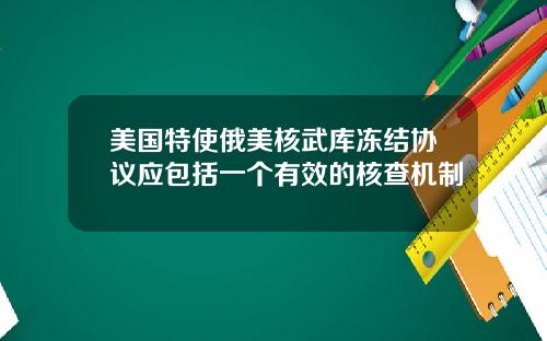 美国特使俄美核武库冻结协议应包括一个有效的核查机制