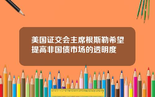 美国证交会主席根斯勒希望提高非国债市场的透明度