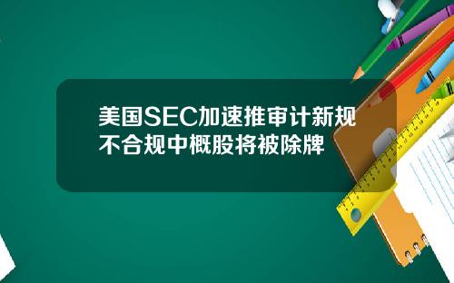 美国SEC加速推审计新规不合规中概股将被除牌