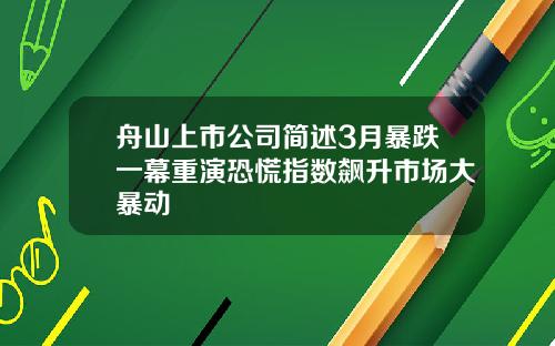 舟山上市公司简述3月暴跌一幕重演恐慌指数飙升市场大暴动