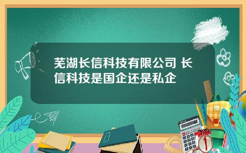 芜湖长信科技有限公司 长信科技是国企还是私企