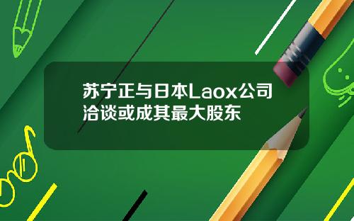 苏宁正与日本Laox公司洽谈或成其最大股东