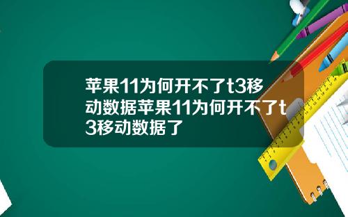 苹果11为何开不了t3移动数据苹果11为何开不了t3移动数据了