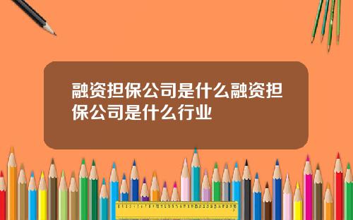 融资担保公司是什么融资担保公司是什么行业