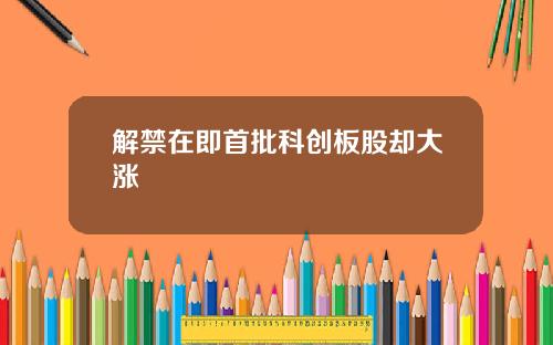 解禁在即首批科创板股却大涨