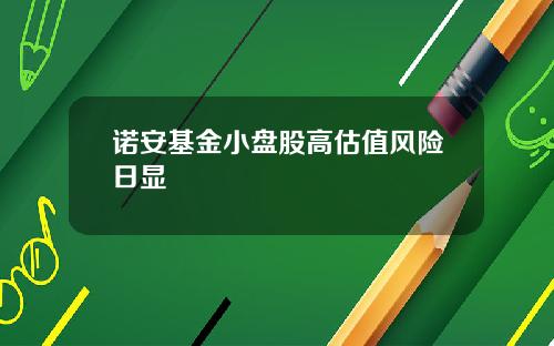 诺安基金小盘股高估值风险日显