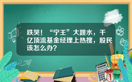 跌哭！“宁王”大跳水，千亿顶流基金经理上热搜，股民该怎么办？