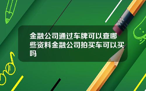 金融公司通过车牌可以查哪些资料金融公司拍买车可以买吗