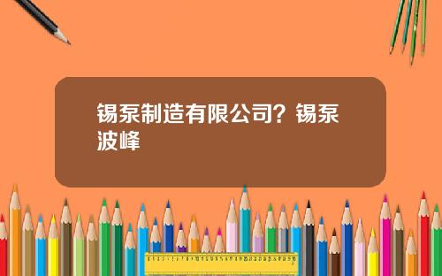 锡泵制造有限公司？锡泵 波峰