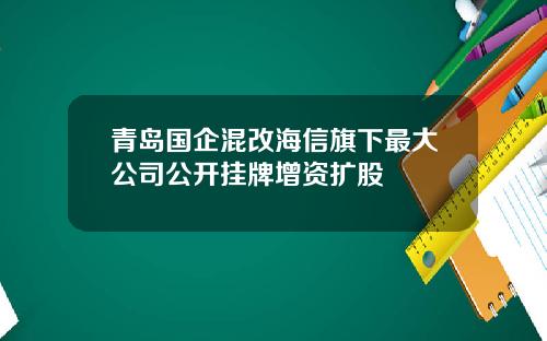 青岛国企混改海信旗下最大公司公开挂牌增资扩股