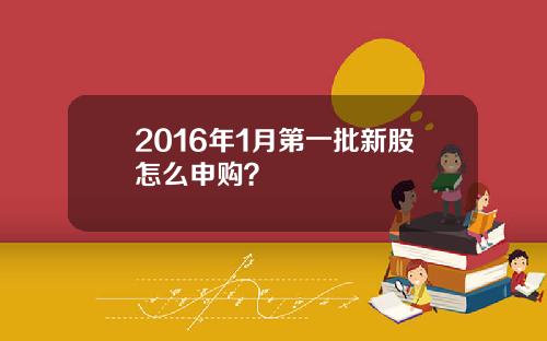 2016年1月第一批新股怎么申购？