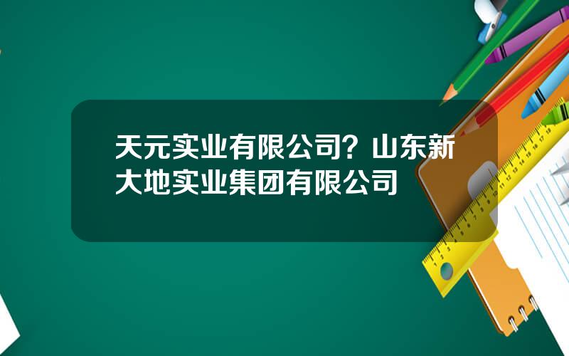 天元实业有限公司？山东新大地实业集团有限公司