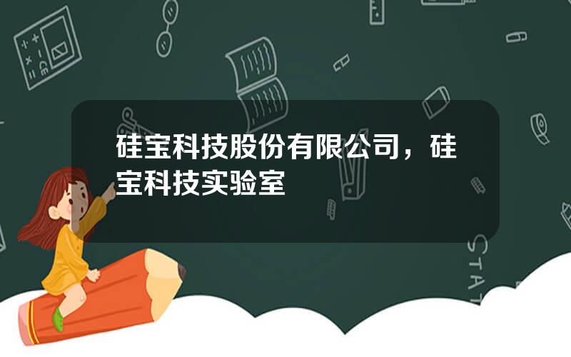 硅宝科技股份有限公司，硅宝科技实验室