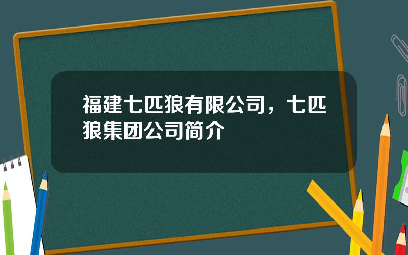 福建七匹狼有限公司，七匹狼集团公司简介