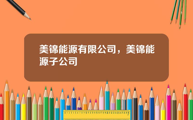 美锦能源有限公司，美锦能源子公司