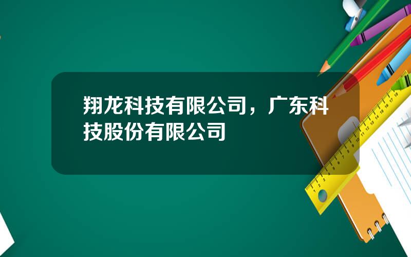 翔龙科技有限公司，广东科技股份有限公司