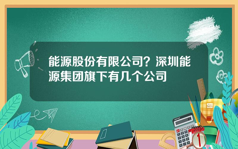 能源股份有限公司？深圳能源集团旗下有几个公司