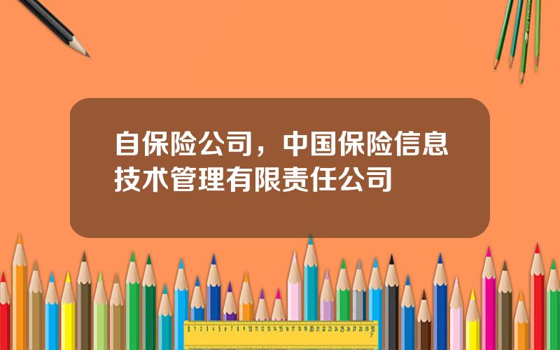 自保险公司，中国保险信息技术管理有限责任公司