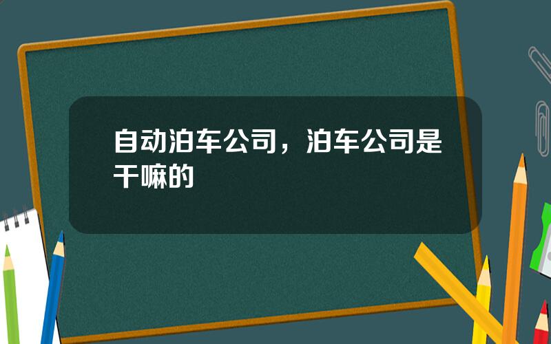 自动泊车公司，泊车公司是干嘛的