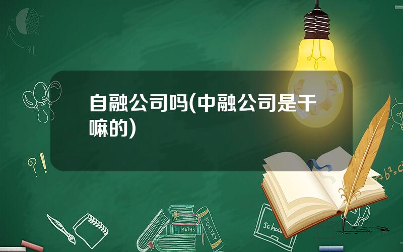 自融公司吗(中融公司是干嘛的)