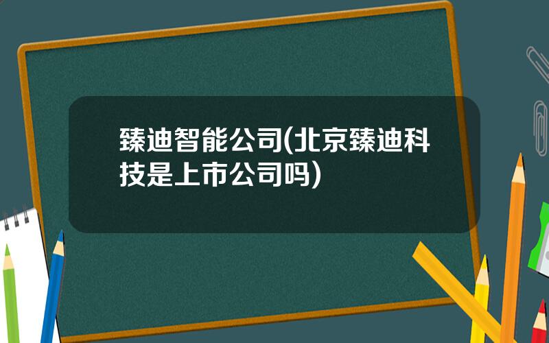 臻迪智能公司(北京臻迪科技是上市公司吗)