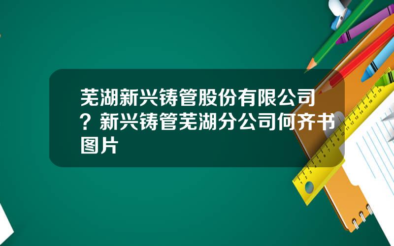 芜湖新兴铸管股份有限公司？新兴铸管芜湖分公司何齐书图片