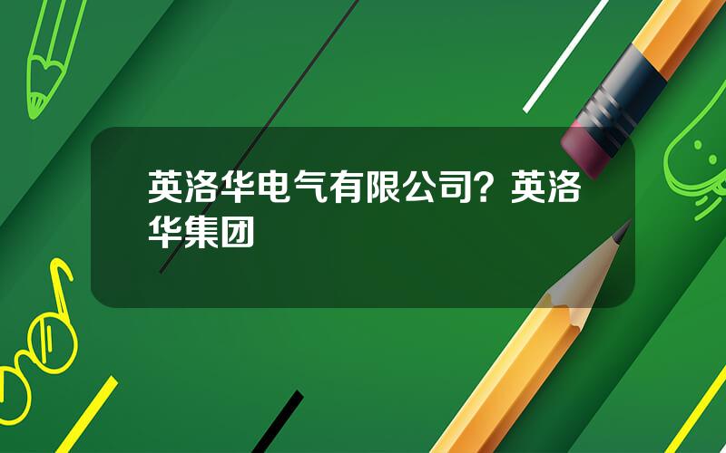 英洛华电气有限公司？英洛华集团