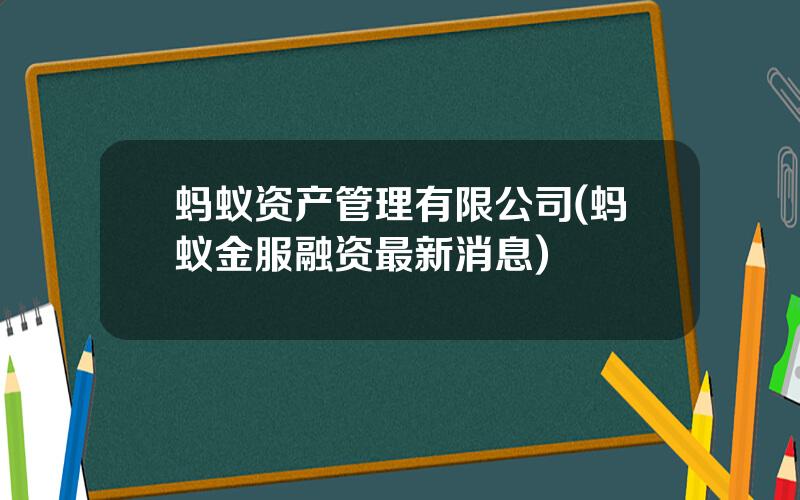 蚂蚁资产管理有限公司(蚂蚁金服融资最新消息)