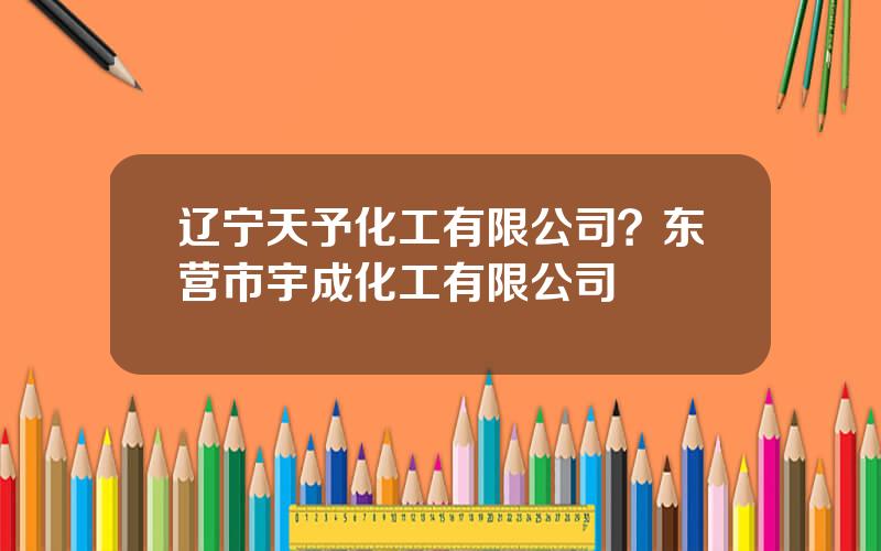 辽宁天予化工有限公司？东营市宇成化工有限公司