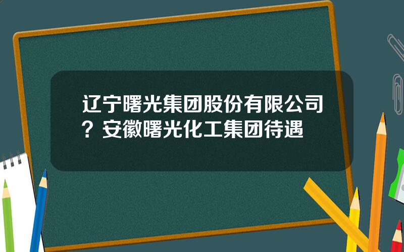 辽宁曙光集团股份有限公司？安徽曙光化工集团待遇