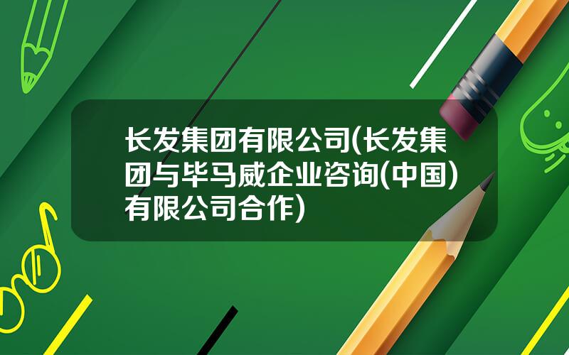 长发集团有限公司(长发集团与毕马威企业咨询(中国)有限公司合作)