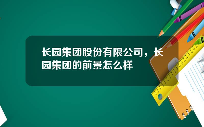 长园集团股份有限公司，长园集团的前景怎么样